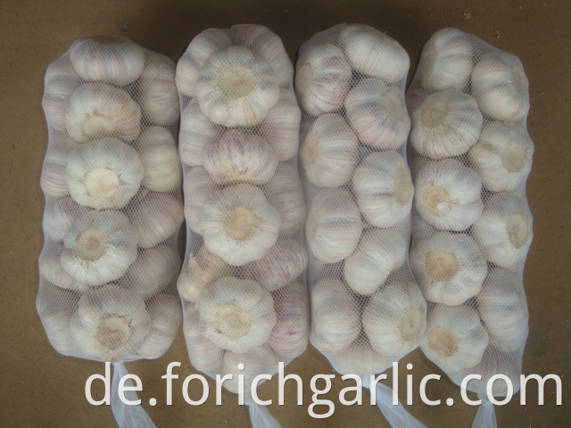 1kg Normal White Garlic